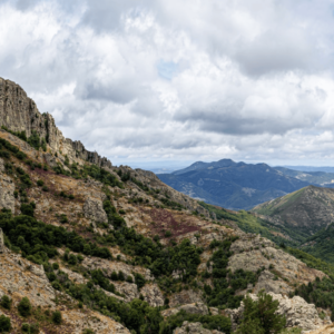 ROUSSILLON